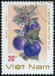 Timbre Y&T N913