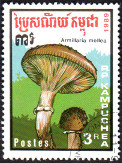 Stamp Y&T N871C