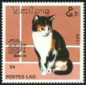Timbre Y&T N896A
