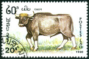  Sello Y&T N982
