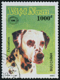 Timbre Y&T N1105