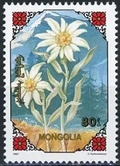 Timbre Mongolie Y&T N1816H