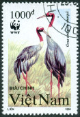 Stamp Y&T N1179