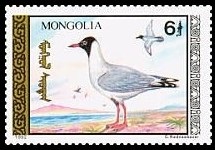 Timbre Mongolie Y&T N°1934 Timbre Mongolie Y&T N°1934