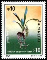 Timbre Népal Y&T N°537 Timbre Népal Y&T N°537