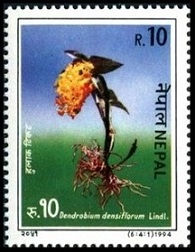 Timbre Népal Y&T N°539 Timbre Népal Y&T N°539