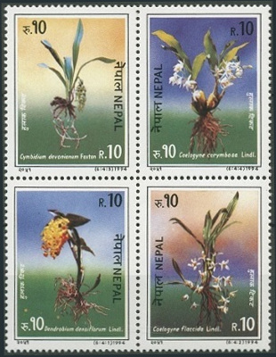 Timbre Npal Y&T N537-540