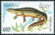 Timbre Y&T N1137