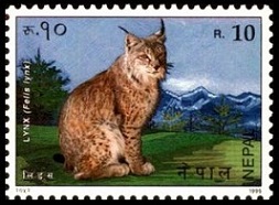 Timbre Npal Y&T N567