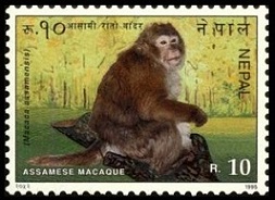 Timbre Npal Y&T N568