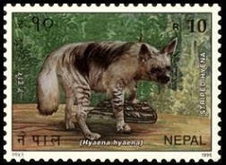 Timbre Npal Y&T N569