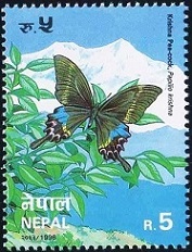 Timbre Népal Y&T N°596 Timbre Népal Y&T N°596