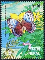 Timbre Népal Y&T N°599 Timbre Népal Y&T N°599