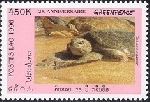 Timbre Y&T N1244D
