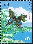Timbre Népal Y&T N°596 Timbre Népal Y&T N°596