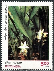 Timbre Inde Y&T N�1356