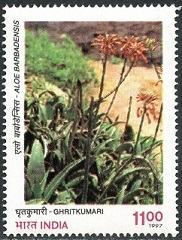 Timbre Inde Y&T N�1358