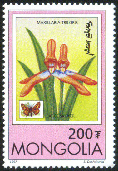 Timbre Mongolie Y&T N�2125