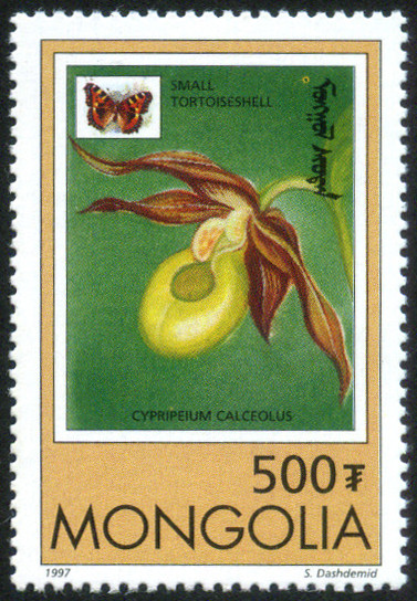 Timbre Mongolie Y&T N�2131