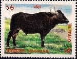 Timbre Y&T N�548