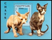  Sello Y&T NBF127