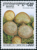  Sello Y&T N1729