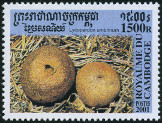 Timbre Y&T N1805
