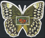 Timbre Y&T NBF162-ND