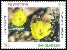 Timbre Bangladesh Y&T N749