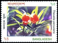 Timbre Bangladesh Y&T N751