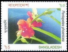 Timbre Bangladesh Y&T N752