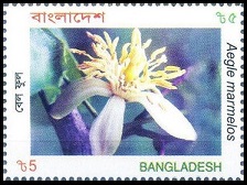 Timbre Bangladesh Y&T N753