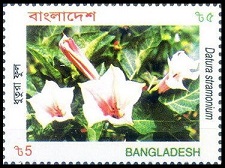 Timbre Bangladesh Y&T N754