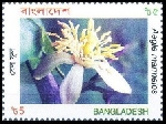 Timbre Bangladesh Y&T N753