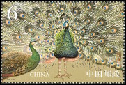 Timbre Y&T N�BF131