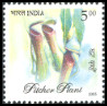 Timbre Y&T N�1846