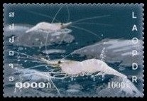 Timbre Laos (Royaume & Rép.) Y&T N°1622 Timbre Laos (Royaume & Rép.) Y&T N°1622