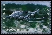 Timbre Laos (Royaume & Rép.) Y&T N°1624 Timbre Laos (Royaume & Rép.) Y&T N°1624