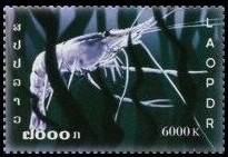 Timbre Laos (Royaume & Rép.) Y&T N°1625 Timbre Laos (Royaume & Rép.) Y&T N°1625