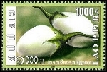 Timbre Laos (Royaume & Rp.) Y&T N1701
