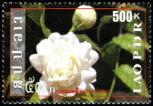 Timbre Laos (Royaume & Rp.) Y&T N1719