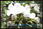 Timbre Laos (Royaume & Rp.) Y&T N1721