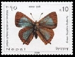 Timbre Npal Y&T N954