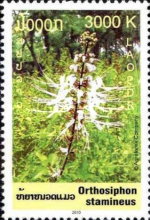 Timbre Laos (Royaume & Rp.) Y&T N1753
