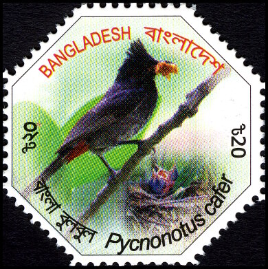 Timbre Bangladesh Y&T N964