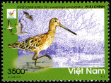 Timbre Y&T N�2439