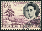 Stamp Y&T N336