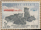 Stamp Y&T N1031