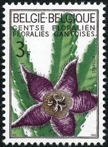 Timbre Belgique Y&T N1317