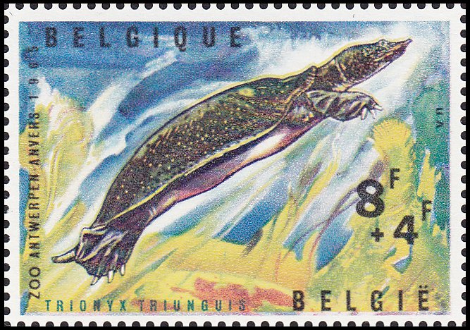 Stamp Belgium Y&T N1348